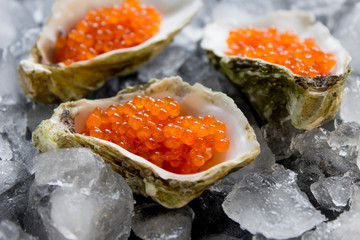 fresh red caviar in the three oyster shells on ice