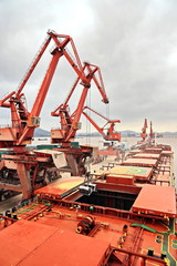 Cargo terminal for unloading grain cargo by shore cranes. Port Zhoushan, China. November, 2019.