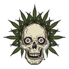 Skull. Skull with marijuana leaves. Rastaman skull with cannabis leafs and joint.