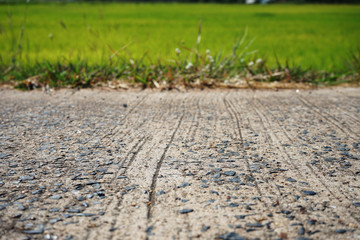 Concrete roads in rural areas in Thailand Backdrop of rice
