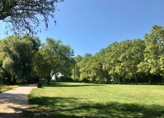 Fototapeta premium park in spring