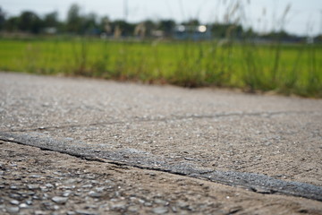 Concrete roads in rural areas in Thailand Backdrop of rice