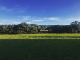 landscape with green field and blue sky