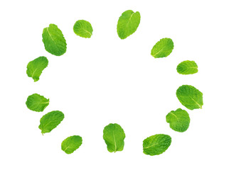 frame of peppermint leaf isolated on white background with clipping path