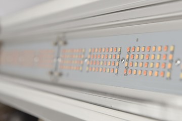 assembled PCB with SMD LEDs and connectors for agricultural usage