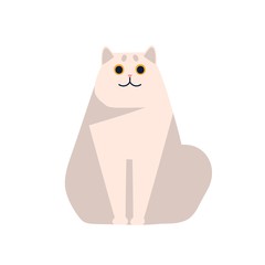 Cute short haired british chinchilla cat breed sitting isolated on white background. Cartoon fat smiling pet posing vector flat illustration. Funny thoroughbred white domestic animal