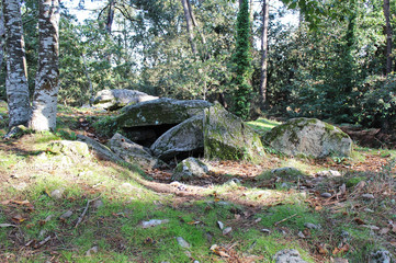 Obraz premium Tumulus in forest