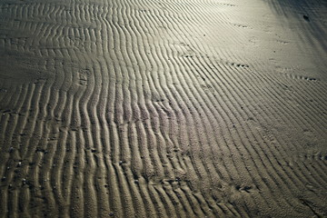 Rippled sand pattern at baltic sea beach