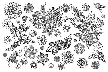 Hand drawn flowers collection. Floral design elements set. Black and white illustration in doodles style. Isolated on white background.