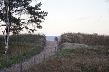 Pathway to the baltic sea beach 