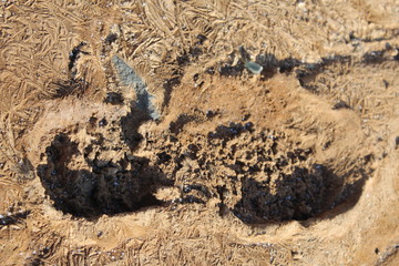 texture of sand