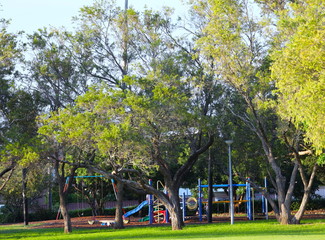 Park in Sydney Western Suburbs at Sunset with Trees, green bench and kids playground