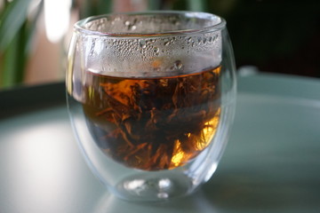 Teeblume grüner Tee in Teeglas