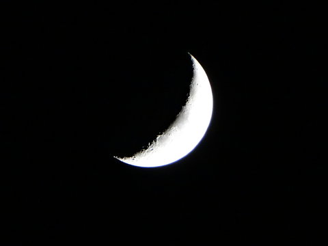 moon in the night