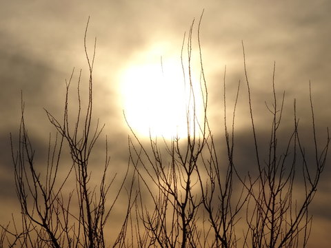 sunset on the river