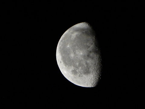 moon in the night