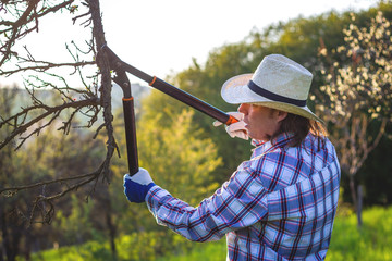 Young farmer pruning fruit tree in spring