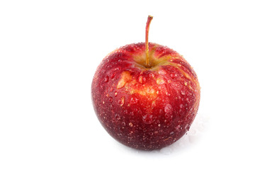 Red little apple