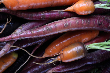 Carrots and unusual violet carrots background