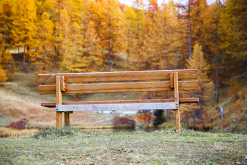 Autumn Colors , Bench