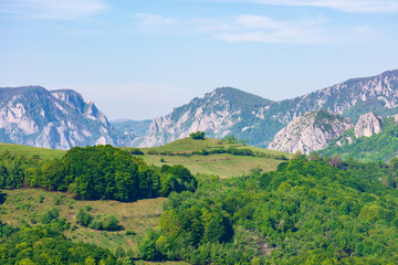 Obraz premium gorges and mountains of Romanian countryside. beautiful rural landscape of valea Manastirii in Alba country. wonderful sunny weather in springtime. 