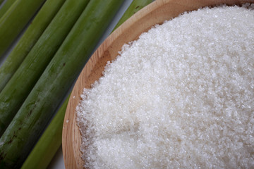 Sugar cane isolated on white