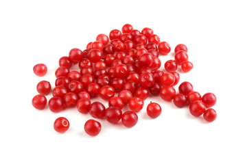 Nanking cherry isolated on white