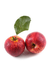 Apples and leaf