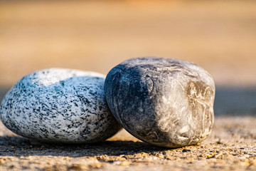 Fototapeta na wymiar Two large smooth stones, sea pebbles with a dot pattern lies on the gray asphalt at sunrise. Side yellow sunlight draws nature beautifully