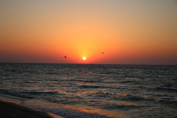 pink sunset by the sea in summer on vacation, beautiful sky unusual