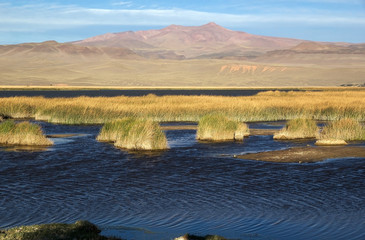 Lagoon near the Pucara de La Alumbrera at the Puna de Atacama, Argentina