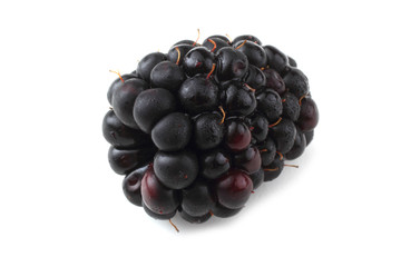 Blackberry isolated on white
