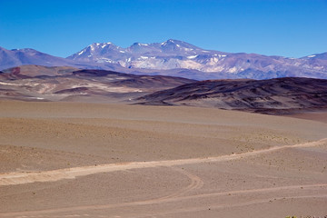 Fototapeta na wymiar Trail to the Salar of Antofalla at the Puna de Atacama, Argentina