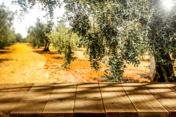 Naklejka na ściany i meble Table background of free space and olive grove landscape.Copy space for your decoration. 