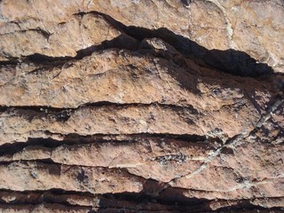 Martian soil 17