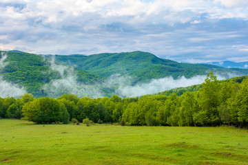 Obraz premium clouds and fog rising above the beech forest. morning mountain scenery of carpathians in spring. green grass on the meadow on the foreground