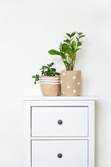 potted plants wrapped in tap paper on a white dresser in a bright room