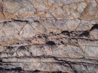 Martian soil 4
