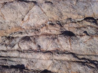 Martian soil 2