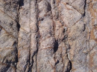 Martian soil 