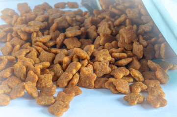 dry pet food scattered on a table from a pack in soft light
