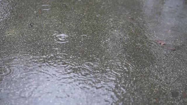 Regen
