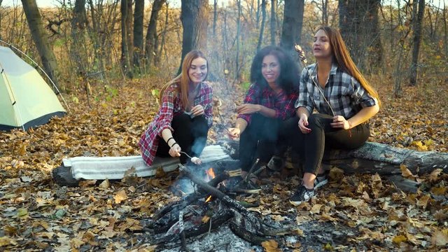 Young girls roasting marshmallows over fire in camping