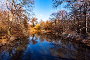 Amazing landscape in urban Central Park, one of the most visited tourist attractions worldwide in  Manhattan, New York City, United States