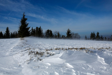 Fototapeta premium snow blizzard in the mountains at sunny day