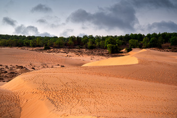 Wave of Sandy desert with footprint in evening