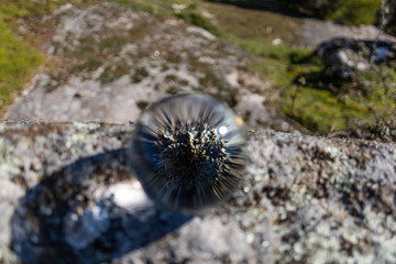 crystal ball on the edge