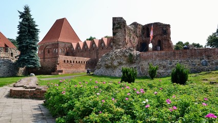 Ruins of Torun Castle (or Thorn Castle) - a medieval castle of the Teutonic Order located in Torun (Thorn), Poland. Panoramic view - obrazy, fototapety, plakaty