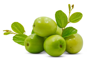 Fresh Green Jujube fruits isolated on white background