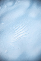 Winter park in the snow in the evening